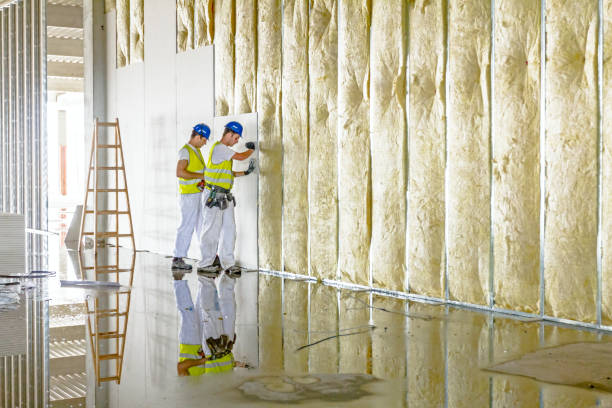 Best Cellulose Insulation in Elgin, OR